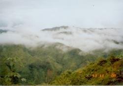 P`S`View2.jpg